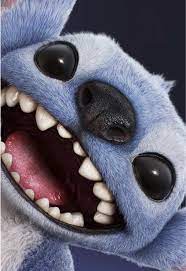Colección Stitch